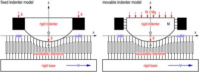 Transient and Steady Sliding Friction of Elastomers: Impact of Vertical Lift
